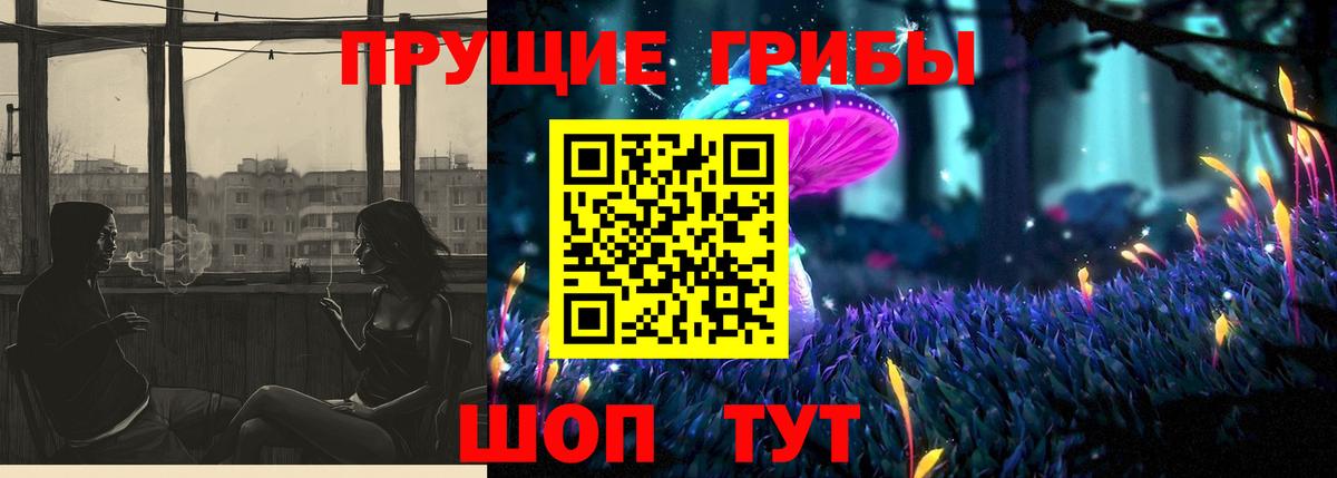 Галлюциногенные грибы прущие грибы Кисловодск