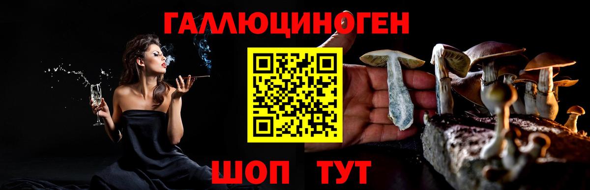 Кисловодск  Псилоцибиновые грибы GOLDEN TEACHER  Вход с VPN 