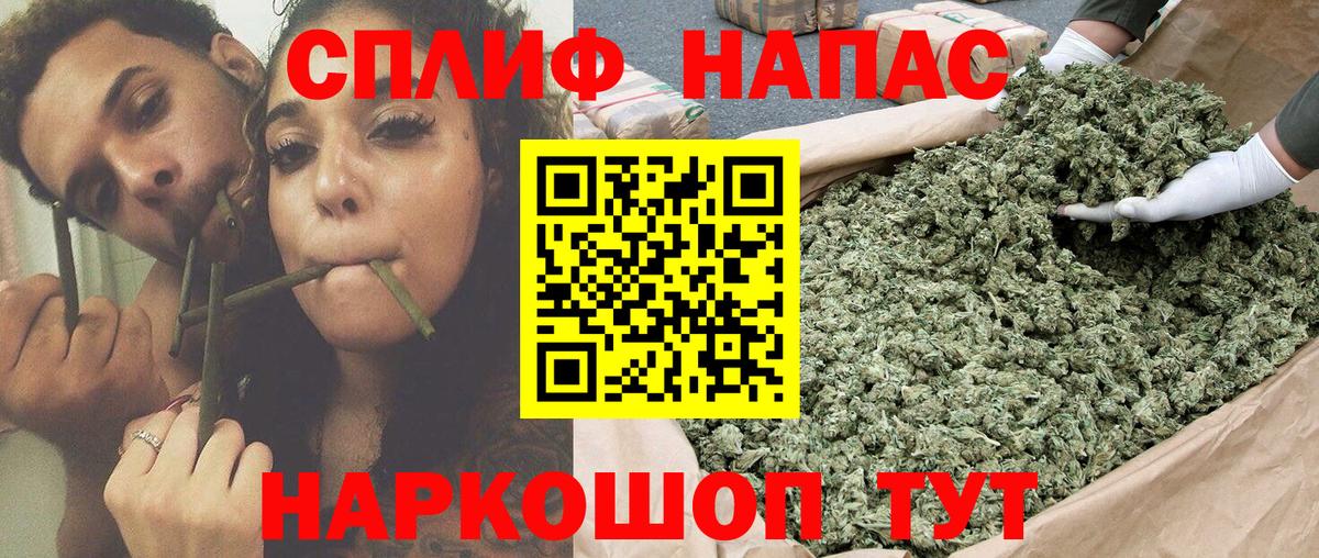 Альфа ПВП Кисловодск
